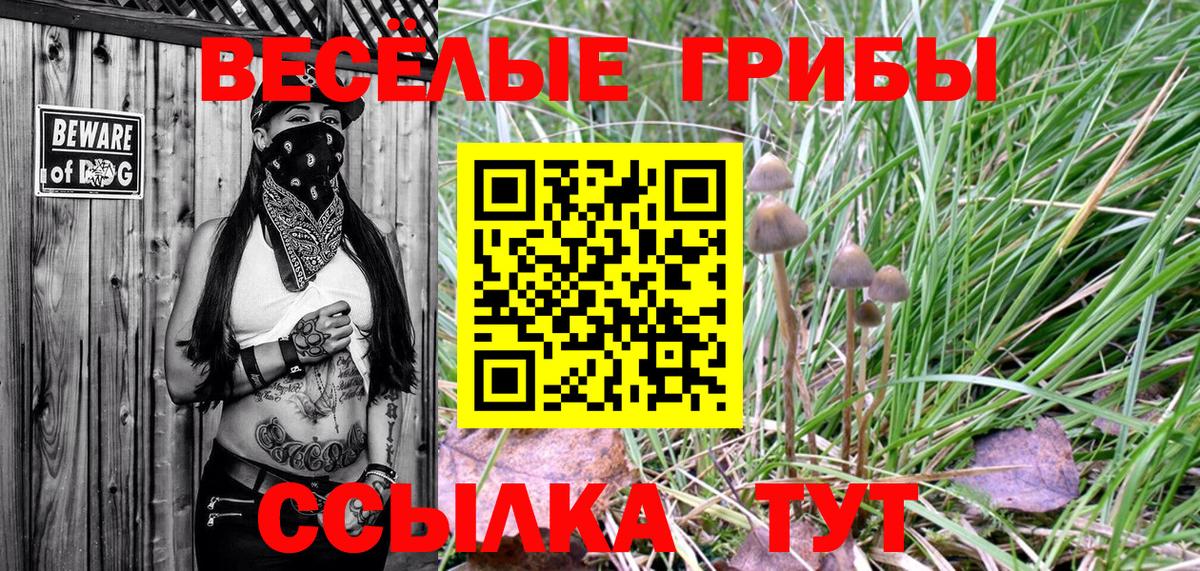 Галлюциногенные грибы Magic Shrooms Знаменск