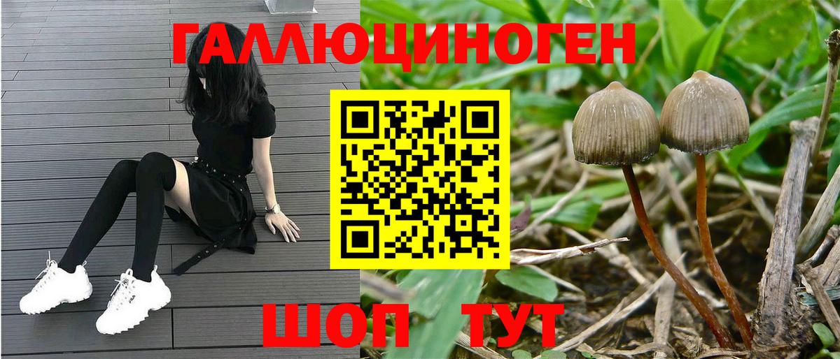 Галлюциногенные грибы GOLDEN TEACHER  Вход с VPN  Знаменск 